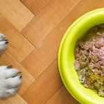 What Is Natural Dog Food?